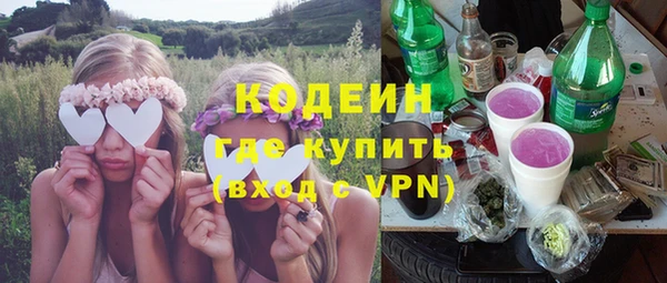 ГАЛЛЮЦИНОГЕННЫЕ ГРИБЫ Заволжье
